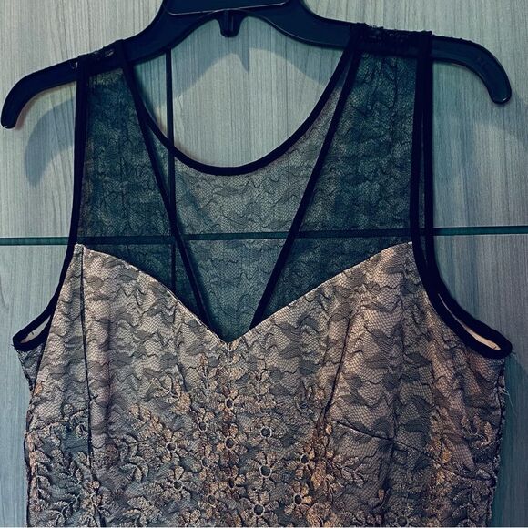 Taylor Lace Overlay Fit & Flare Mini Dress Size 12 - Picture 2 of 12